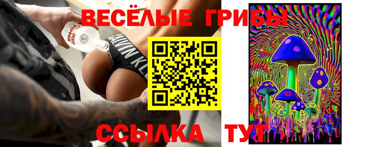 Псилоцибиновые грибы Cubensis Отрадное