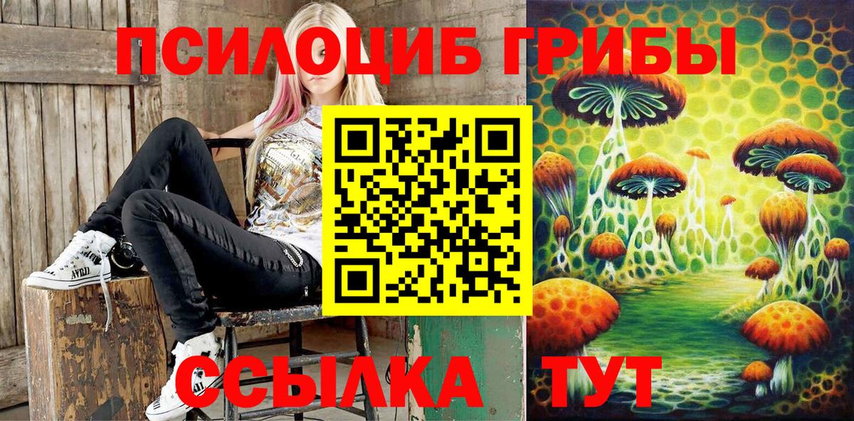 Псилоцибиновые грибы MAGIC MUSHROOMS  Псилоцибиновые грибы Psilocybe  Отрадное  купить наркотики сайты  Вход с VPN 